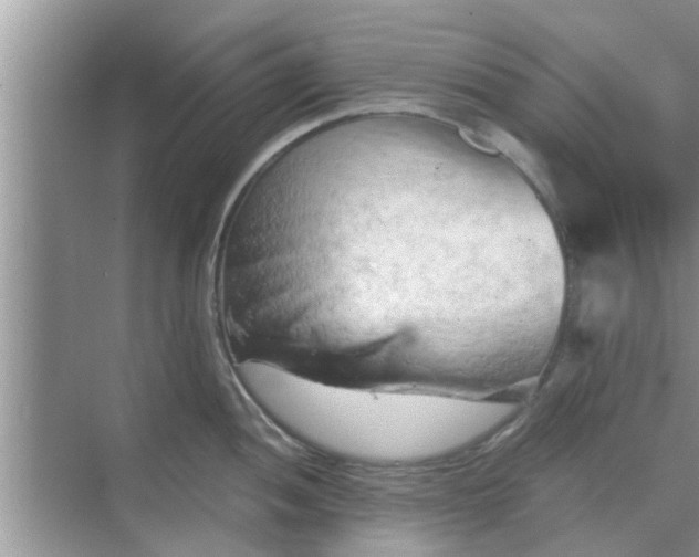 X0000068751052200605121605