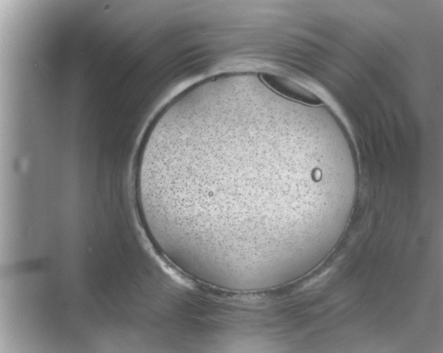 X0000068751053200605121605