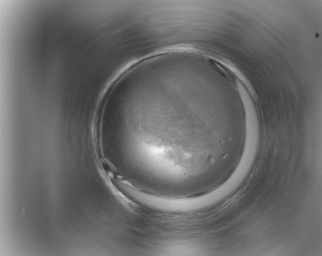 X0000068751054200605121605