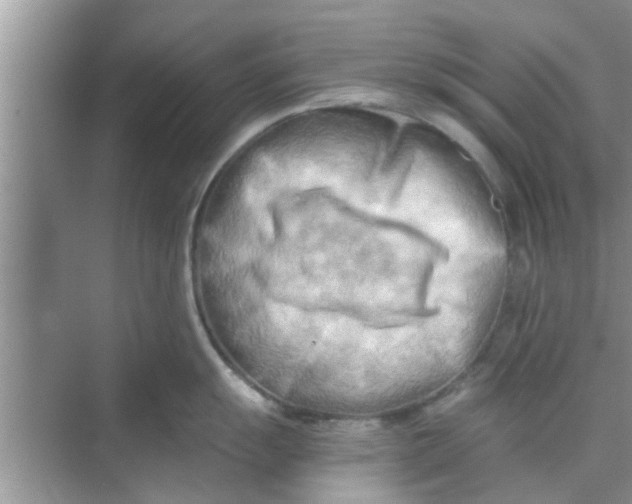 X0000068751055200605121605