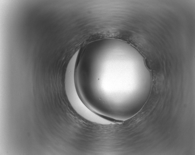 X0000068751058200605121604