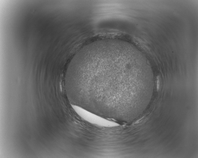 X0000068751059200605121604