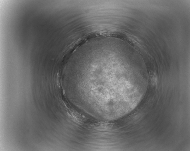 X0000068751060200605121604