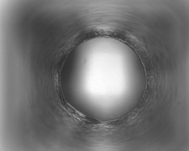 X0000068751061200605121604