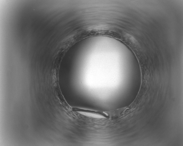 X0000068751062200605121604