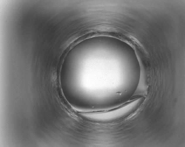 X0000068751065200605121604