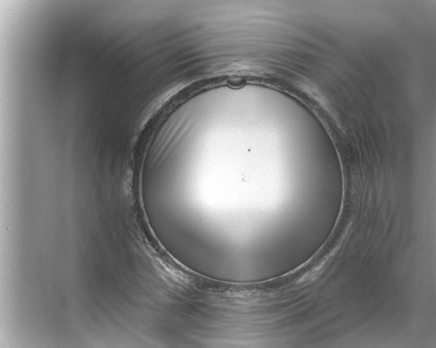 X0000068751066200605121604