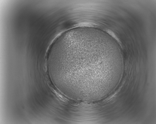 X0000068751067200605121604