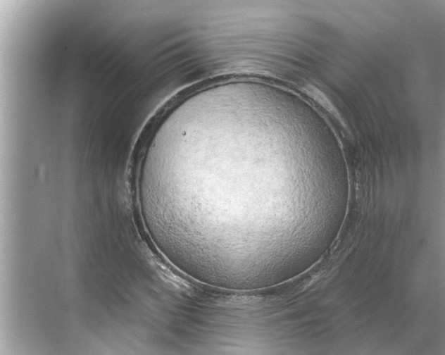 X0000068751068200605121604