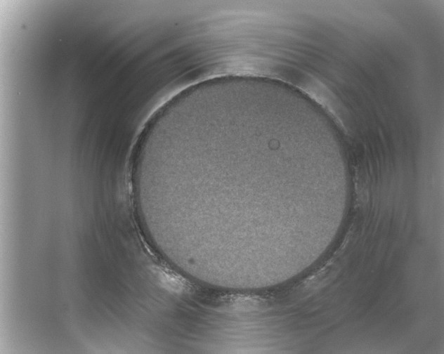 X0000068751070200605121604