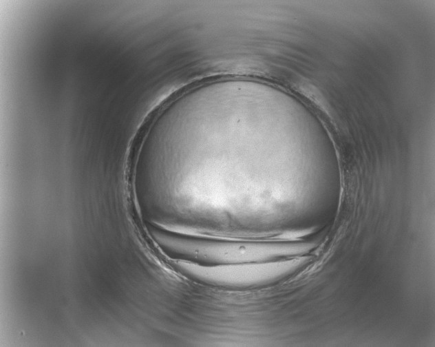 X0000068751071200605121604