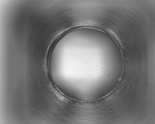 X0000068751072200605121604