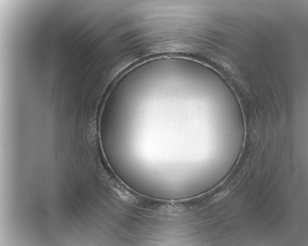 X0000068751073200605121604