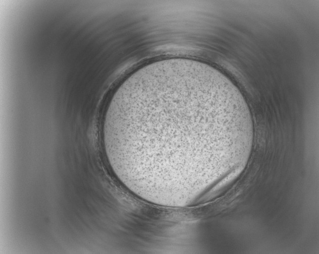 X0000068751074200605121604