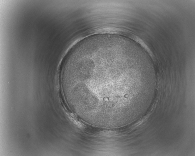 X0000068751075200605121604