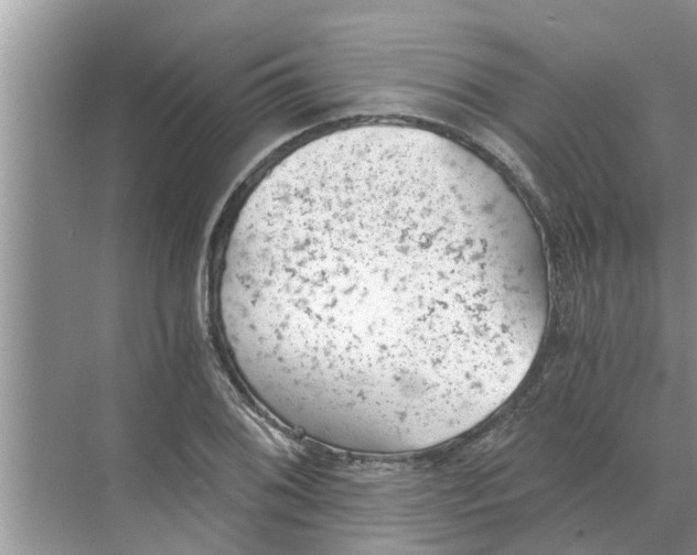 X0000068751076200605121604