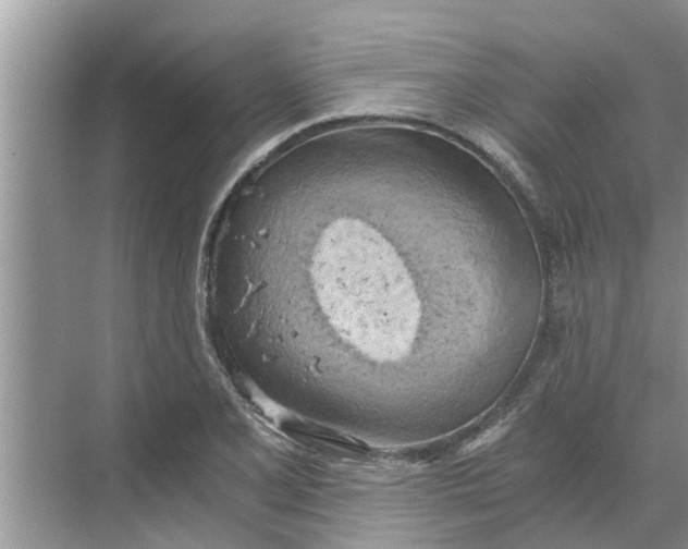 X0000068751077200605121604