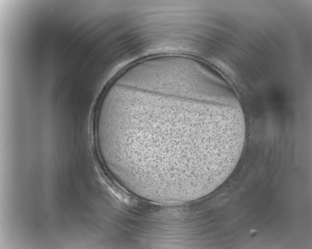 X0000068751078200605121604