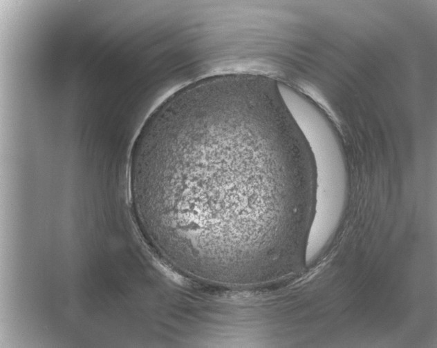 X0000068751079200605121604