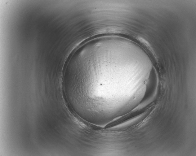 X0000068751081200605121603