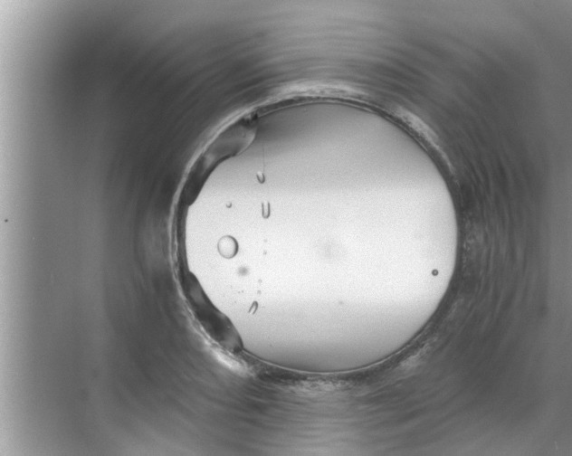 X0000068751082200605121603