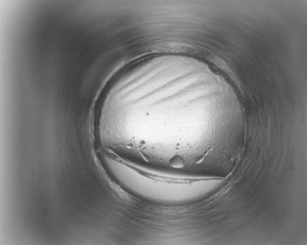 X0000068751083200605121603