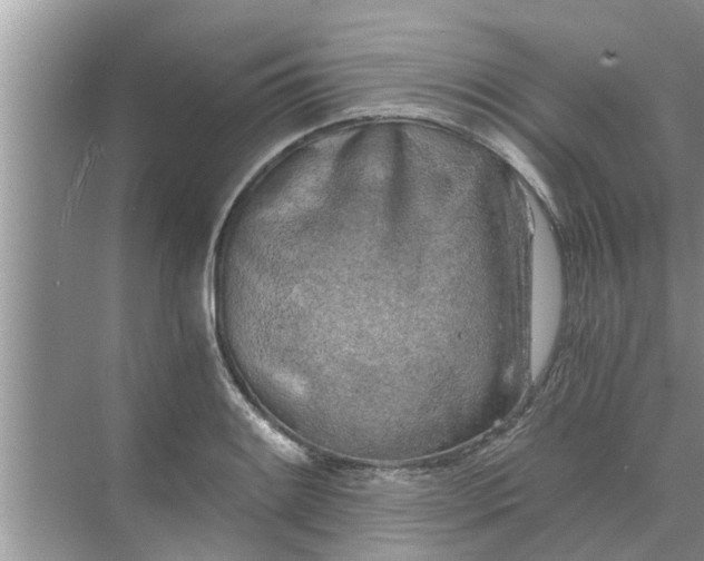 X0000068751084200605121603