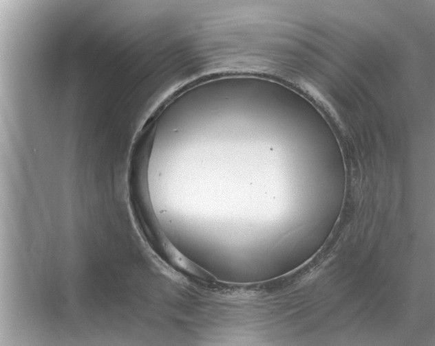 X0000068751085200605121603