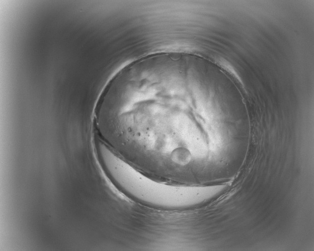 X0000068751087200605121603