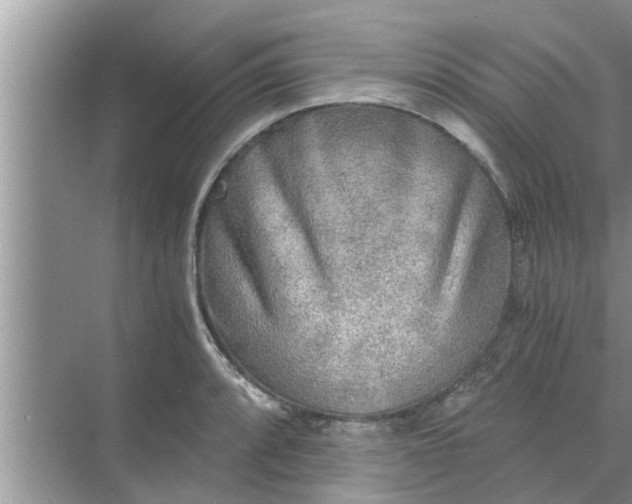 X0000068751088200605121603