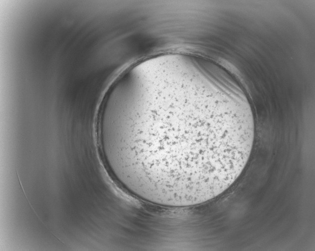 X0000068751090200605121603