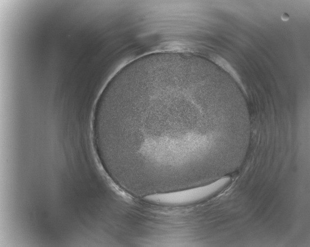 X0000068751091200605121603