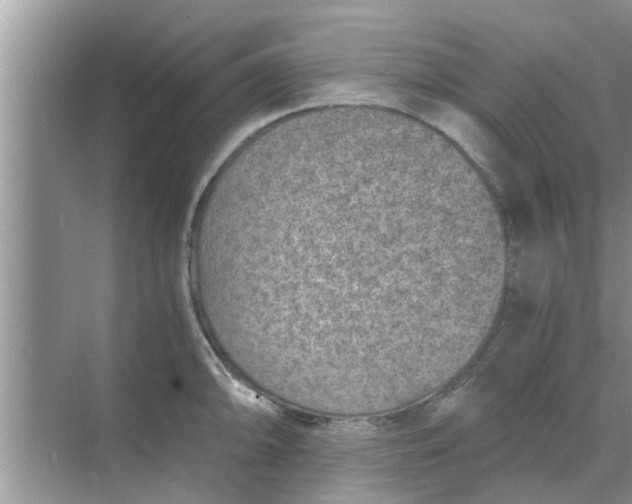 X0000068751094200605121603