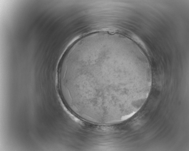 X0000068751095200605121603