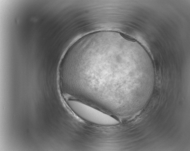 X0000068751096200605121603