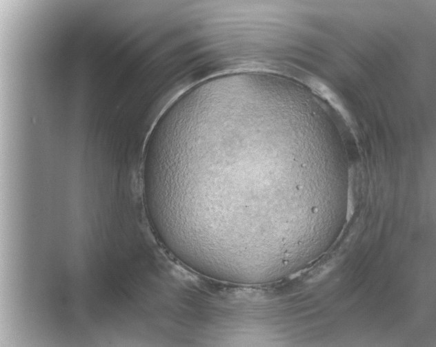 X0000068751097200605121603