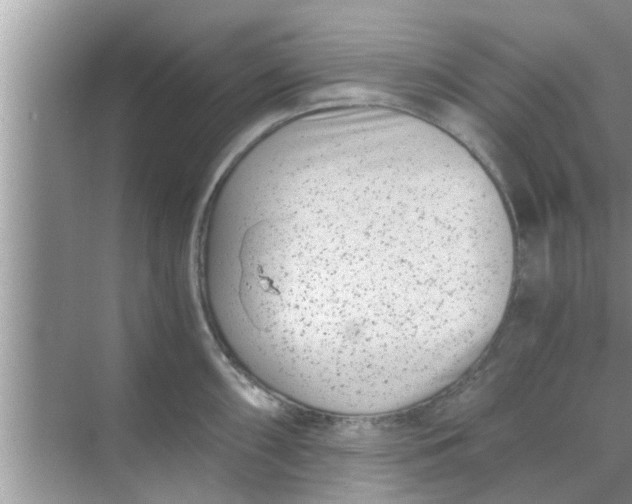 X0000068751098200605121603