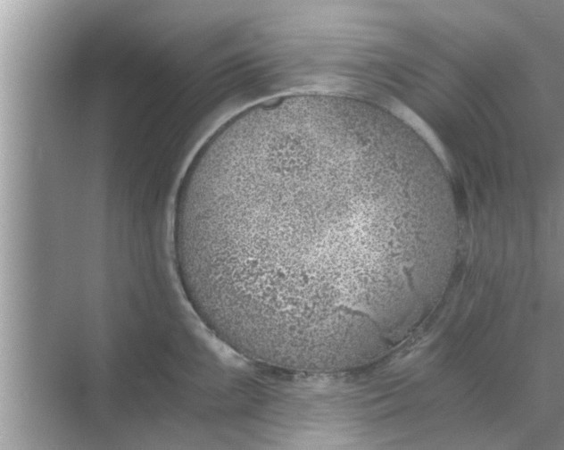 X0000068751099200605121603