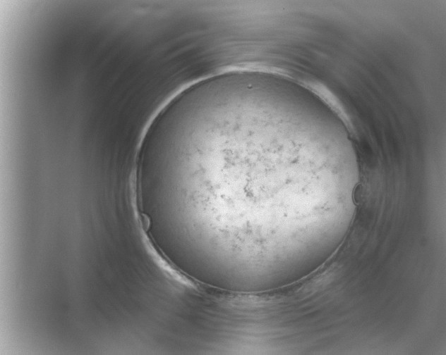 X0000068751100200605121603