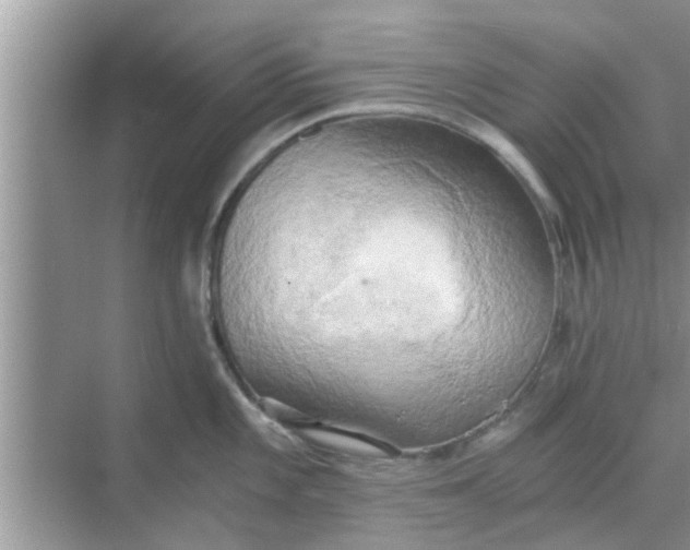 X0000068751101200605121603