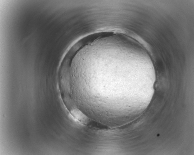 X0000068751102200605121603