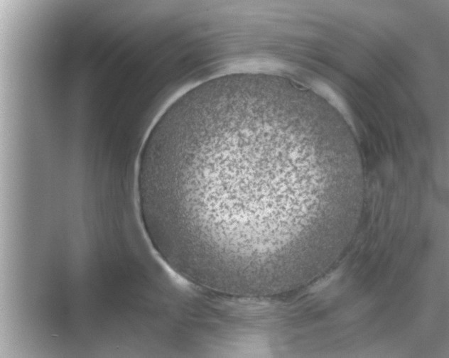 X0000068751103200605121603