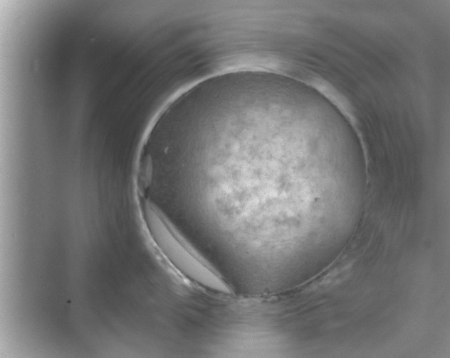 X0000068751104200605121603