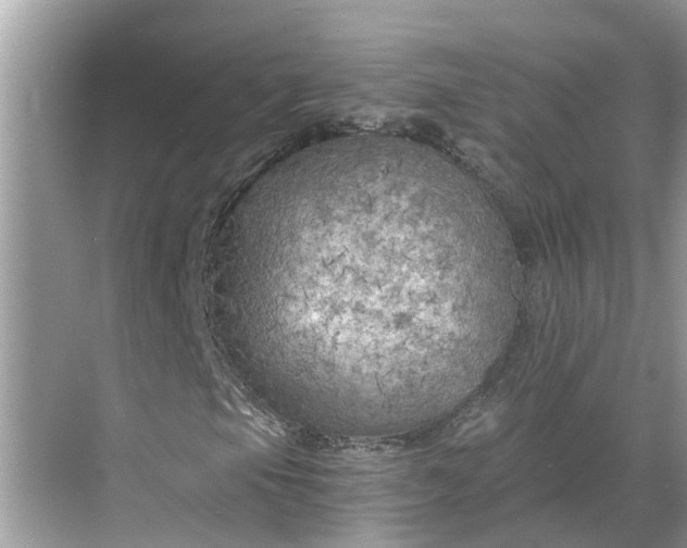 X0000068751105200605121602