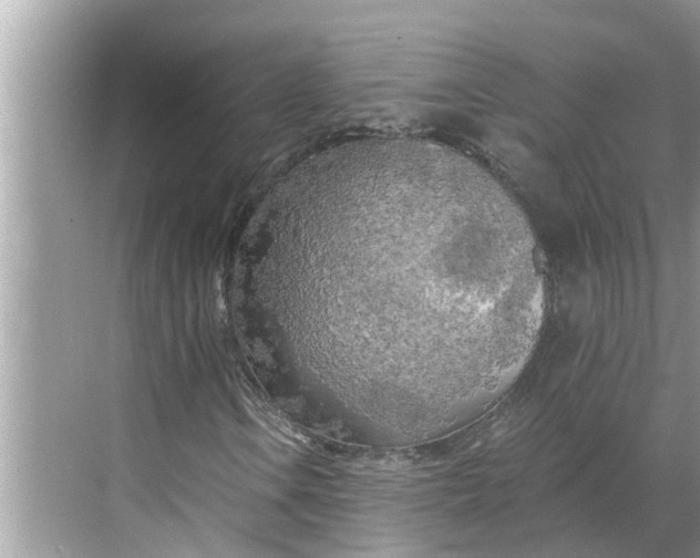 X0000068751106200605121602