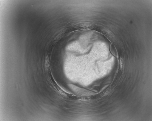 X0000068751107200605121602