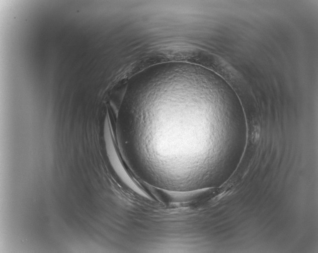 X0000068751108200605121602