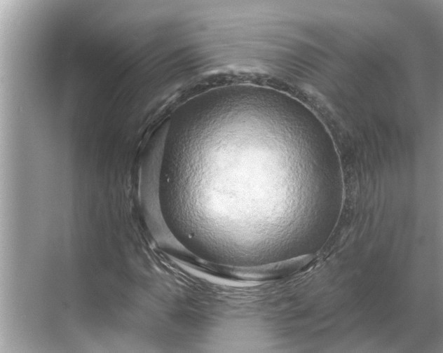 X0000068751110200605121602