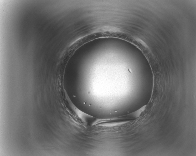 X0000068751112200605121602