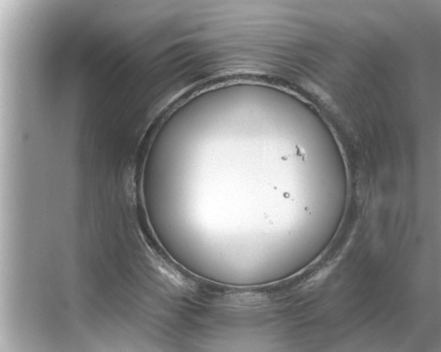 X0000068751113200605121602